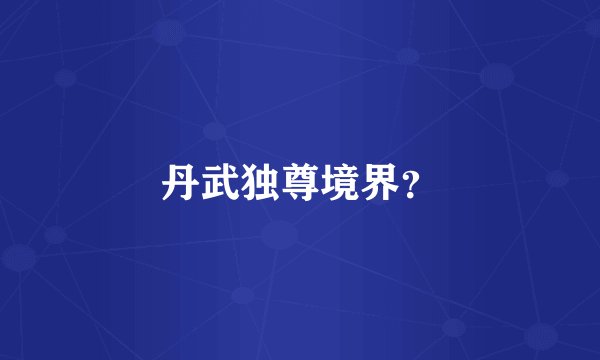 丹武独尊境界？