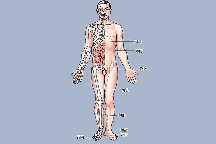 膝盖经络图解大全