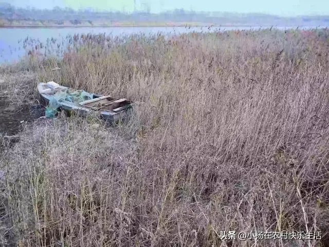 地笼捕鱼一般能捕多大的?要注意什么?