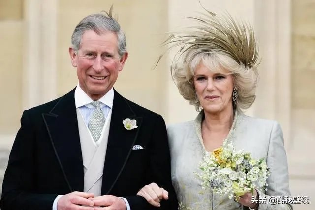 英国查尔斯王子核酸检测为阳性,王子夫人还好吗?你怎么看?