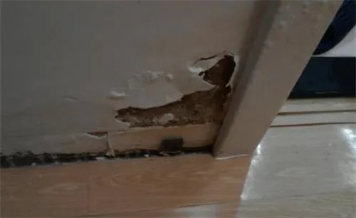 外墙渗水内墙防水要怎么做