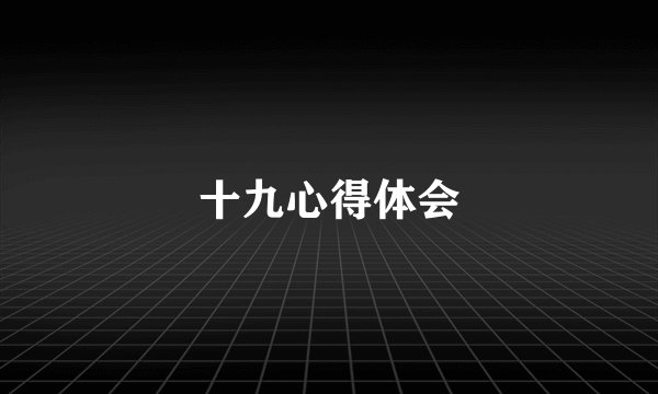 十九心得体会