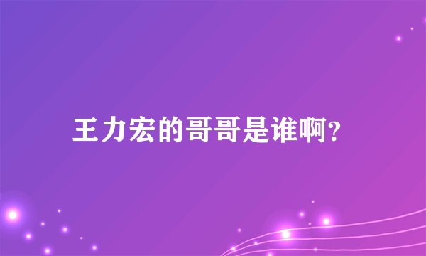 王力宏的哥哥是谁啊？