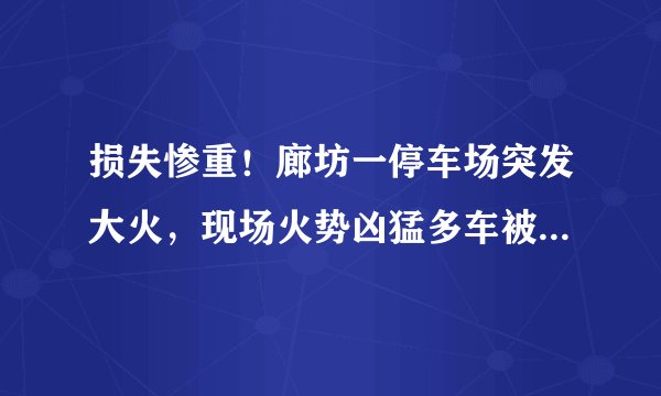 损失惨重！廊坊一停车场突发大火，现场火势凶猛多车被烧毁, 你怎么看？