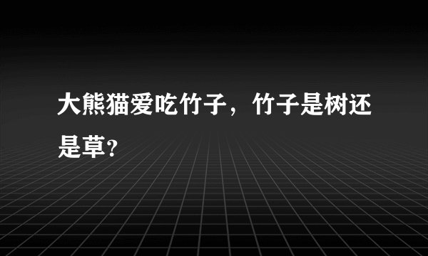 大熊猫爱吃竹子，竹子是树还是草？