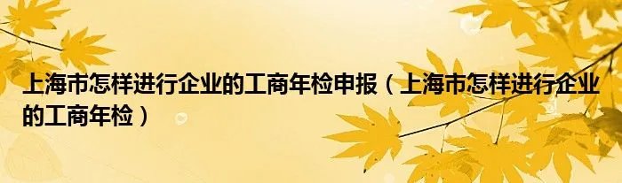 上海市怎样进行企业的工商年检申报（上海市怎样进行企业的工商年检）