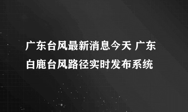 广东台风最新消息今天 广东白鹿台风路径实时发布系统