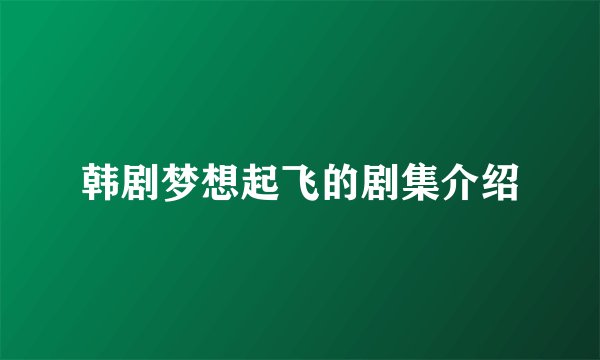 韩剧梦想起飞的剧集介绍