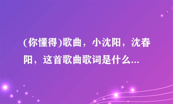(你懂得)歌曲，小沈阳，沈春阳，这首歌曲歌词是什么。还有1句英语，喜欢你怎样写，谢谢