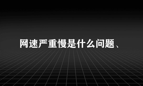 网速严重慢是什么问题、