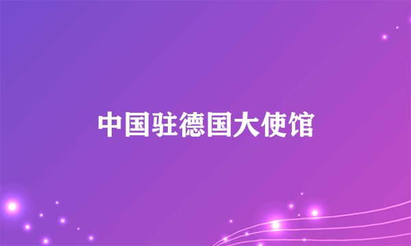 中国驻德国大使馆