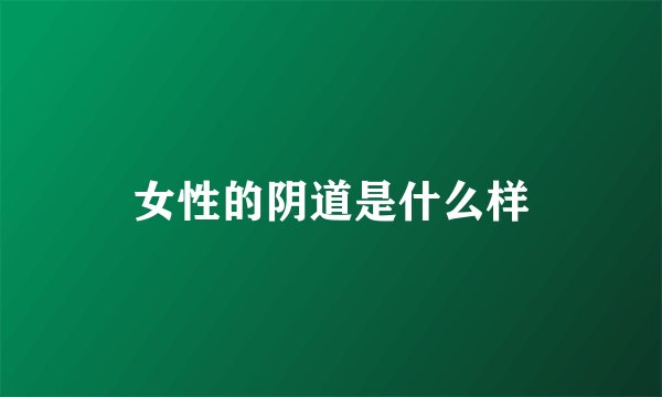 女性的阴道是什么样