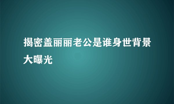 揭密盖丽丽老公是谁身世背景大曝光