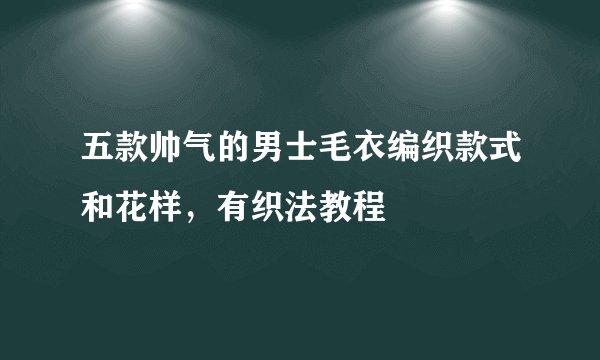 五款帅气的男士毛衣编织款式和花样,有织法教程