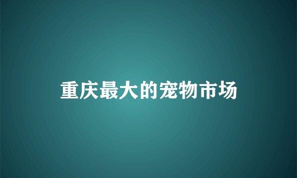重庆最大的宠物市场