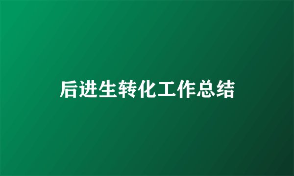 后进生转化工作总结