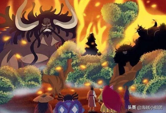 《海贼王》951话更新!凯多和大妈居然在同一艘海贼团待过?