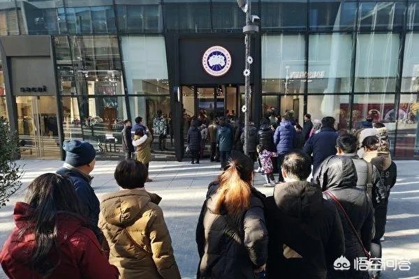 利润飙升72%，加拿大鹅即将建新工厂，其CEO直言