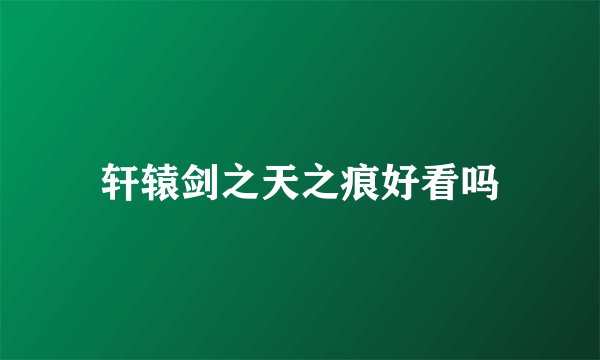 轩辕剑之天之痕好看吗