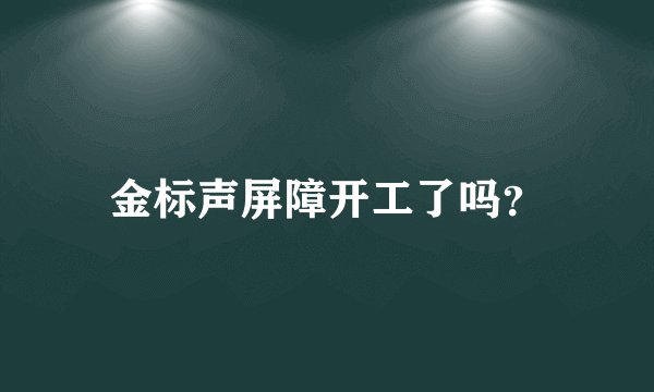 金标声屏障开工了吗?