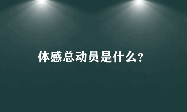 体感总动员是什么？