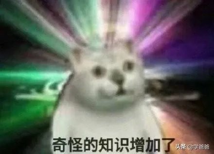 关于二级建造师大家怎么看?