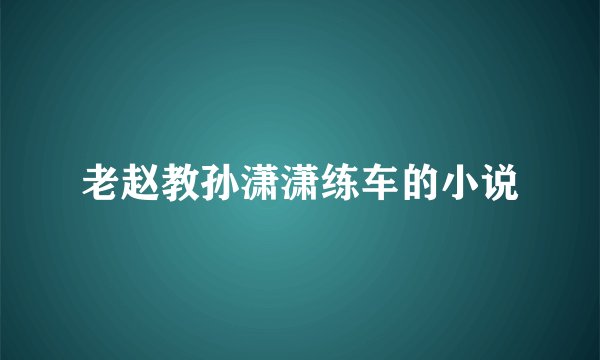 老赵教孙潇潇练车的小说