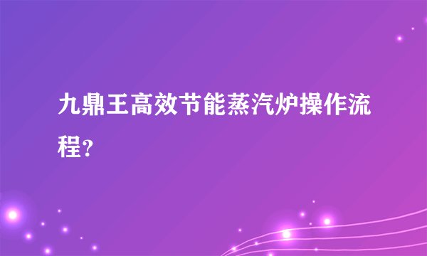 九鼎王高效节能蒸汽炉操作流程？