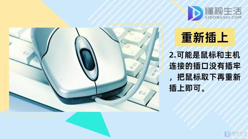 电脑上鼠标键盘都动不了怎么办