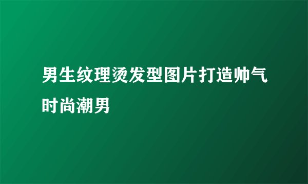 男生纹理烫发型图片打造帅气时尚潮男