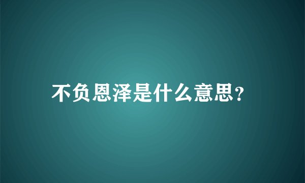 不负恩泽是什么意思？
