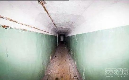 男子森林发现神秘工厂:里面东西令人震惊(图)