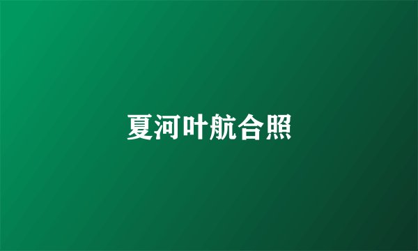 夏河叶航合照