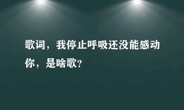 歌词，我停止呼吸还没能感动你，是啥歌？