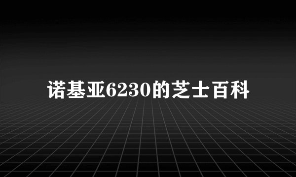 诺基亚6230的芝士百科