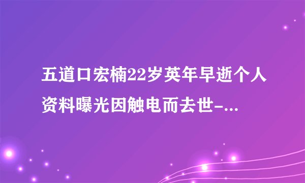 五道口宏楠22岁英年早逝个人资料曝光因触电而去世-娱乐八卦