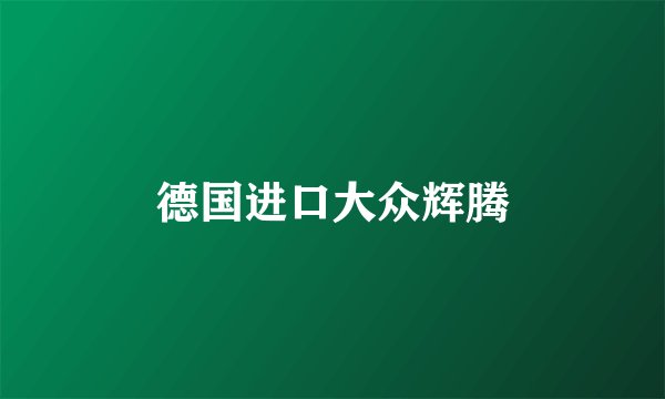 德国进口大众辉腾