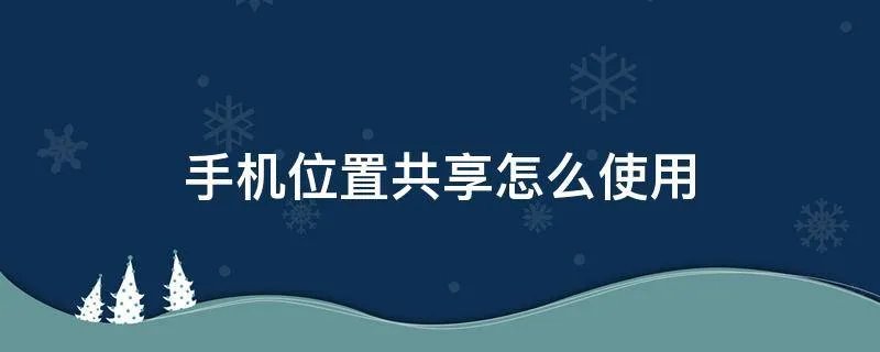 手机位置共享怎么使用