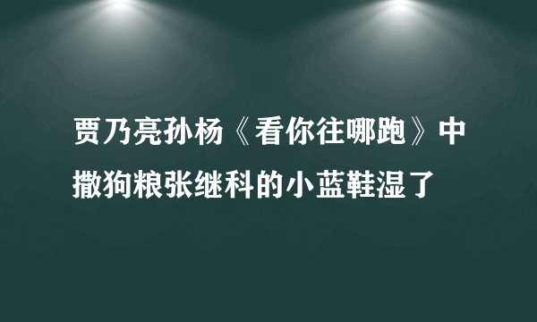 贾乃亮孙杨《看你往哪跑》中撒狗粮张继科的小蓝鞋湿了