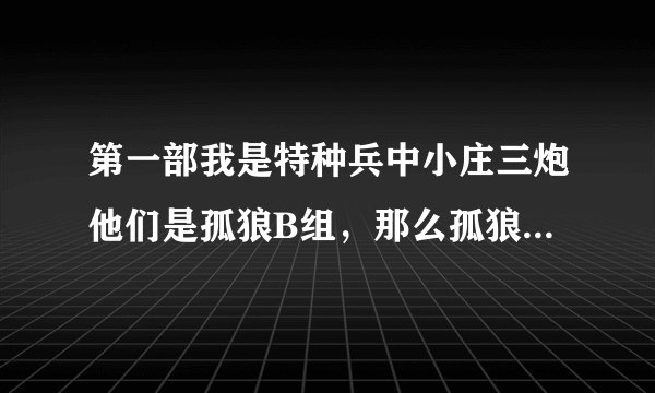 第一部我是特种兵中小庄三炮他们是孤狼B组,那么孤狼A组会不会比小庄他们还厉害啊?