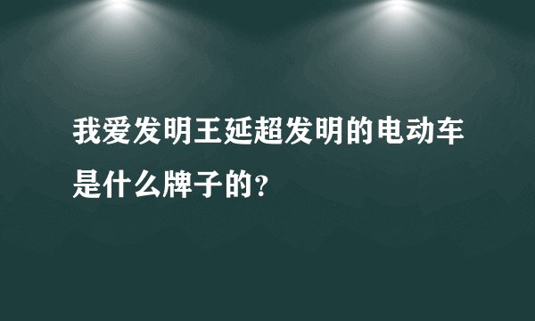 我爱发明王延超发明的电动车是什么牌子的？