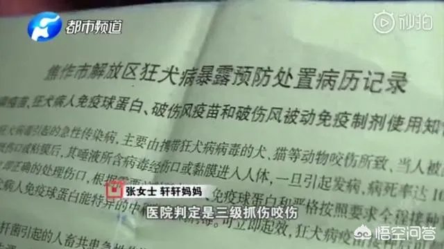 2岁娃等电梯时遭邻居3只狗迎面扑咬出血,事发8天后狗主人不露面不道歉,你怎么看?