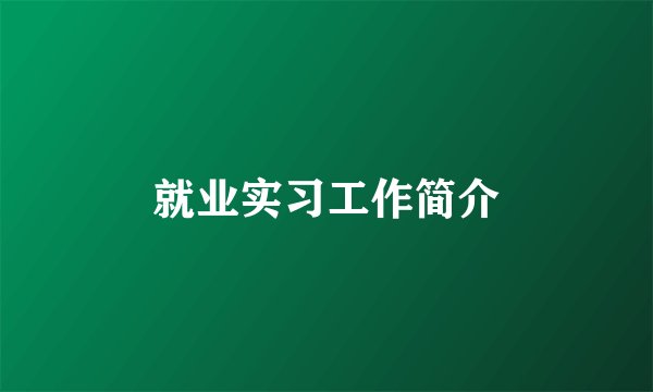 就业实习工作简介