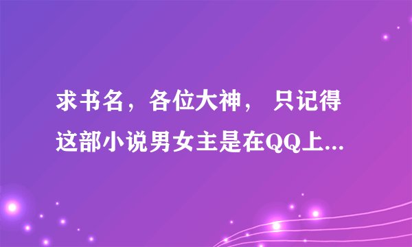 求书名,各位大神, 只记得这部小说男女主是在QQ上认识的,男主大女主