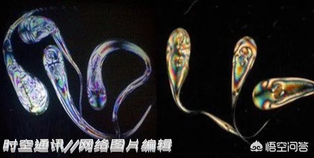 子弹都打不碎的“鲁珀特之泪”为何一捏尾部就碎了？
