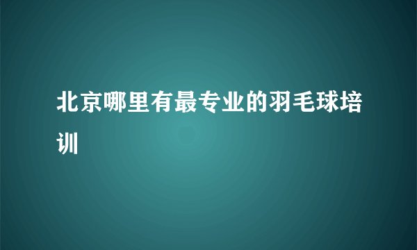 北京哪里有最专业的羽毛球培训