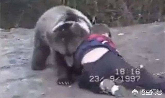 ufc中,小鹰的优点是什么?