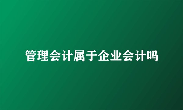 管理会计属于企业会计吗