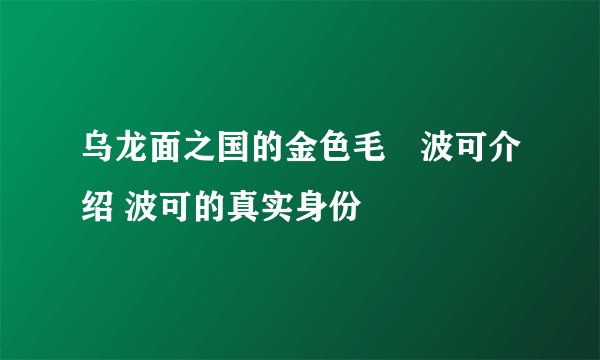 乌龙面之国的金色毛毬波可介绍 波可的真实身份