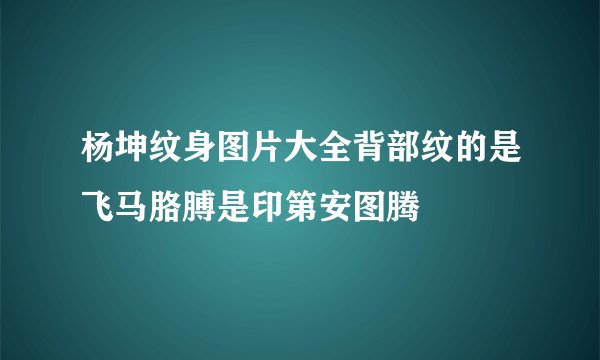 杨坤纹身图片大全背部纹的是飞马胳膊是印第安图腾